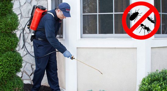 Fındıklı Böcek İlaçlama böcek ilaçlama ve haşere kontrolü — ilaclama-tr.com